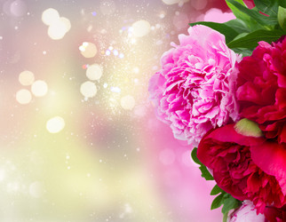 Similar image 20298865