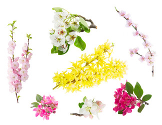 Similar image 20299155