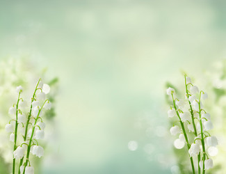 Similar image 20299191