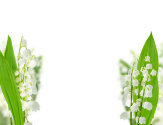 Similar image 20299193