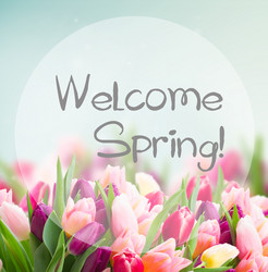 Similar image 20299264