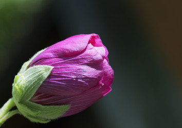 Similar image 20228058