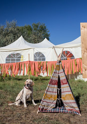 Similar image 20227064