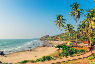 Similar image 20266015