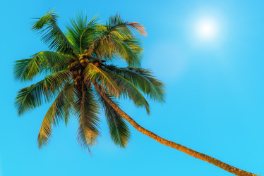 Similar image 20266016