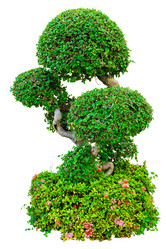 Similar image 20266099