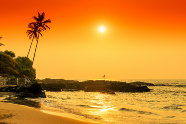 Similar image 20266179