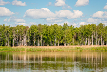 Similar image 20266224