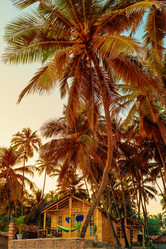 Similar image 20266330