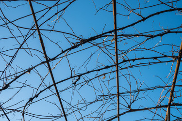 Similar image 20266818