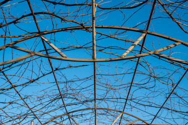 Similar image 20266826