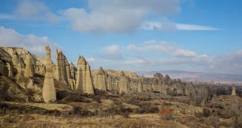 Similar image 20235021