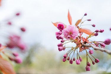 Similar image 20299202