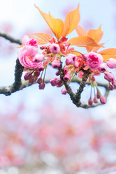 Similar image 20299201