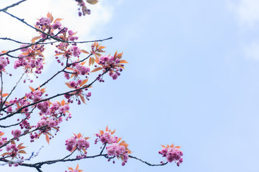 Similar image 20299294