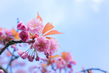 Similar image 20299437