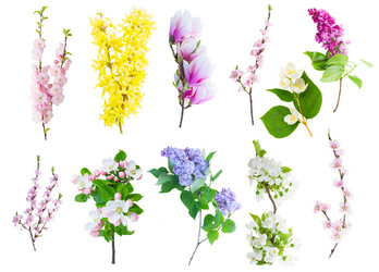 Similar image 20298519