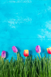 Similar image 20298488