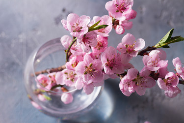 Similar image 20298361