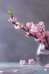 Similar image 20298362