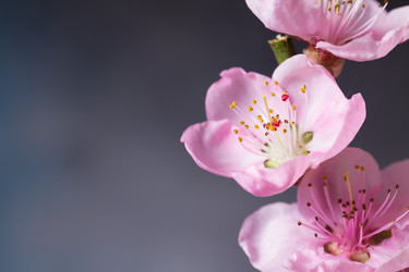 Similar image 20298521