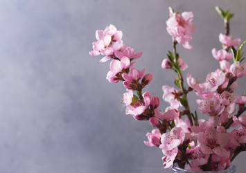 Similar image 20298563