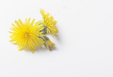 Similar image 20298590