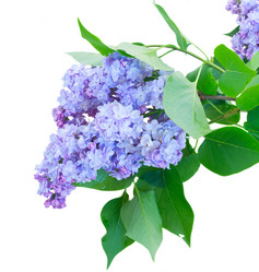 Similar image 20298656