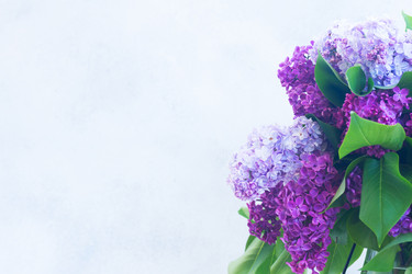 Similar image 20298673