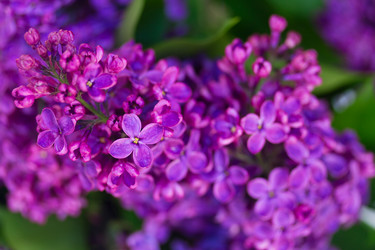 Similar image 20298675