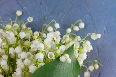 Similar image 20298786