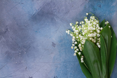 Similar image 20298941