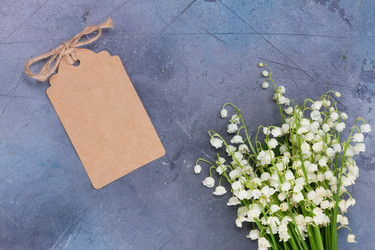 Similar image 20298942