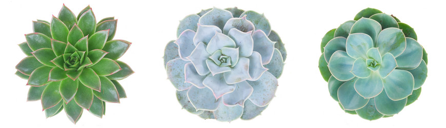 Similar image 20299023