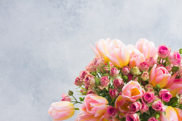 Similar image 20299078