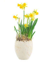 Similar image 20298763