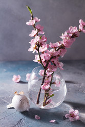 Similar image 20298838