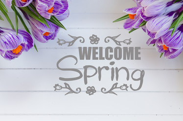 Similar image 20298841