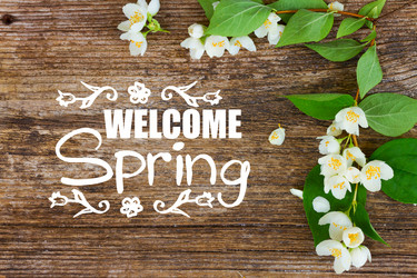 Similar image 20298982