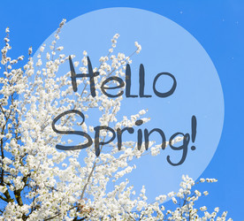 Similar image 20299009