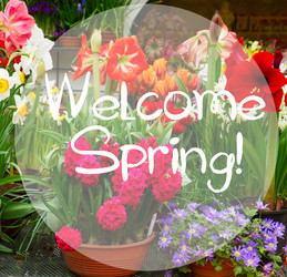 Similar image 20299026