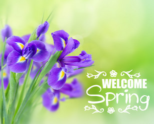 Similar image 20299080