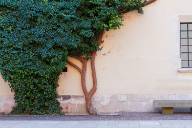 Similar image 20298781