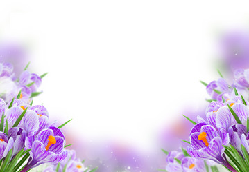 Similar image 20298639