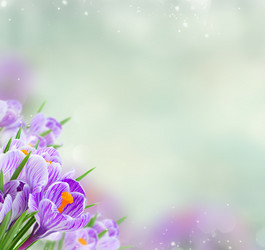 Similar image 20298640