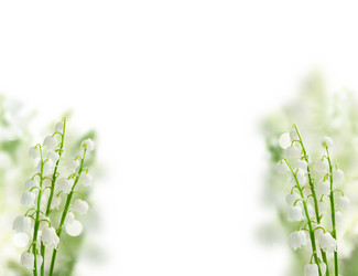 Similar image 20298658