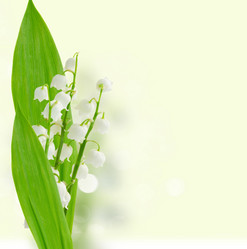 Similar image 20298659