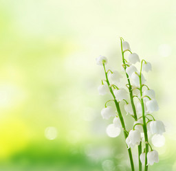 Similar image 20298660