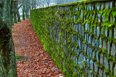 Similar image 20227322