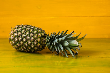 Similar image 20266978